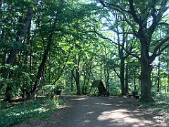 145_iP_200719_IMG_1518