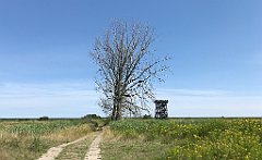 232_iP_200719_IMG_1553