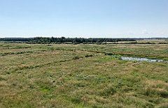 236_iP_200719_IMG_1559