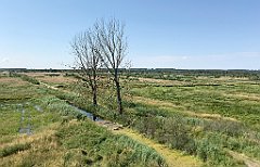 238_iP_200719_IMG_1561