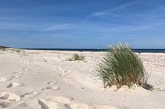 220_iP_200813_IMG_1635