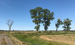 413_iP_200813_IMG_1696