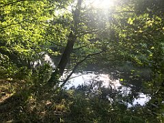 016_iP_200819_IMG_1714