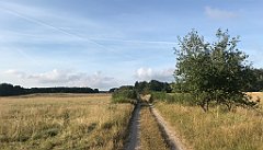 035_iP_200819_IMG_1719