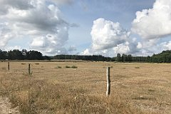 196_iP_200819_IMG_1758