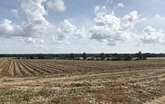 367_iP_200819_IMG_1829