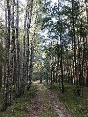 454_iP_200819_IMG_1844