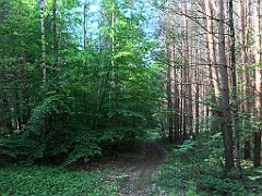 048_iP_210530_IMG_2374