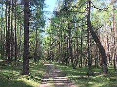 065_iP_210530_IMG_2391