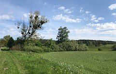 091_iP_210530_IMG_2401