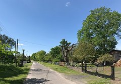 111_iP_210530_IMG_2411