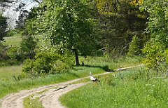 123_p20_IMG_20210530_101844