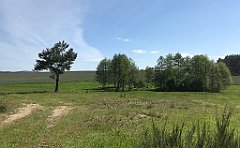 134_iP_210530_IMG_2420