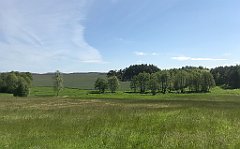 138_iP_210530_IMG_2424