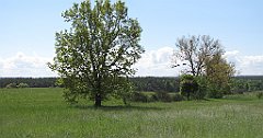 158_IMG_x57917