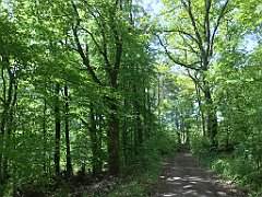 181_iP_210530_IMG_2449