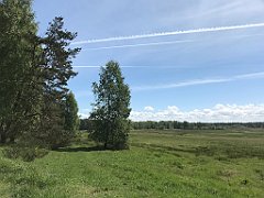188_iP_210530_IMG_2452