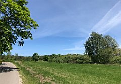 210_iP_210530_IMG_2456