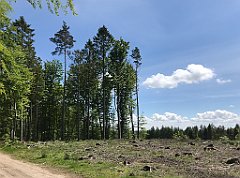 232_iP_210530_IMG_2461