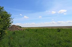 242_p20_IMG_20210530_130026