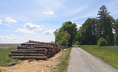 244_p20_IMG_20210530_130046