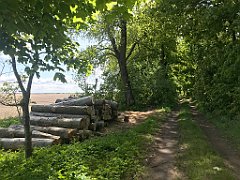 250_iP_210530_IMG_2470