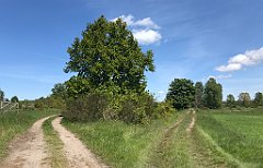 263_iP_210530_IMG_2475