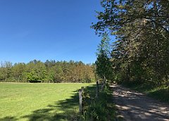 393_iP_210530_IMG_2503