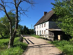 428_iP_210530_IMG_2524