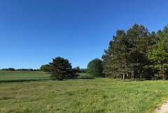 451_iP_210530_IMG_2539