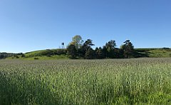 456_iP_210530_IMG_2541