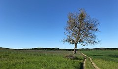 469_iP_210530_IMG_2546