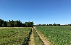 477_iP_210530_IMG_2551