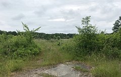 011_iP_210615_IMG_2602