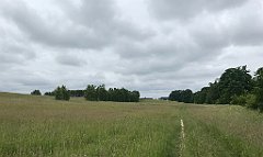 039_iP_210615_IMG_2613