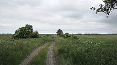 071_IMG_x57981