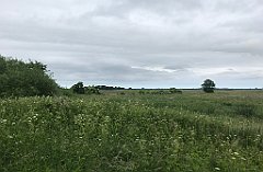 080_iP_210615_IMG_2631