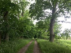 109_iP_210615_IMG_2642