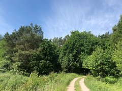 139_iP_210615_IMG_2668