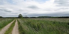 142_IMG_x58002