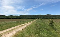 156_iP_210615_IMG_2681