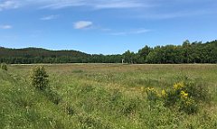 157_iP_210615_IMG_2682