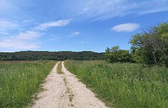 160_p20_IMG_20210615_114412