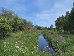 161_p20_IMG_20210615_114417