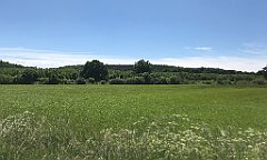 287_iP_210615_IMG_2715