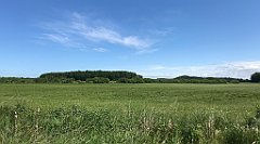 292_iP_210615_IMG_2722