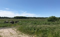 316_iP_210615_IMG_2727