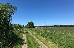 337_iP_210615_IMG_2737