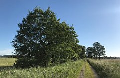 543_iP_210615_IMG_2783