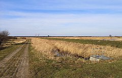 212_p20_IMG_20220213_114935